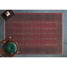 APEX HALI - MOTTO / 3712